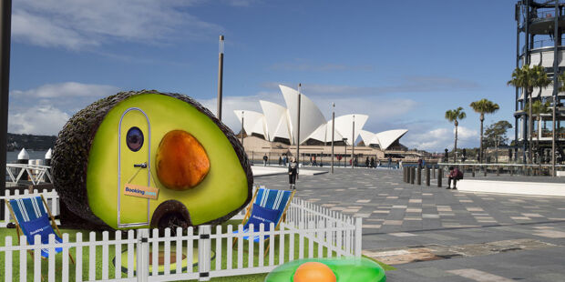 perché gli unicorni sono popolari avocado sidney