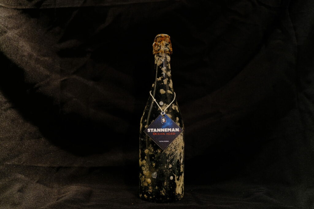 78940df7-bt1-1024x683 78940df7 bt1 1024x683 1