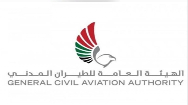 " الطيران المدني" تجري تقييما بشأن العودة الآمنة لطائرة "ماكس" للخدمة وفق شروط فنية - اقتصاد - محلي