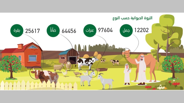 غرافيك.. الإنتاج الزراعي في دبي ينمو 226% خلال 2019 - اقتصاد - محلي