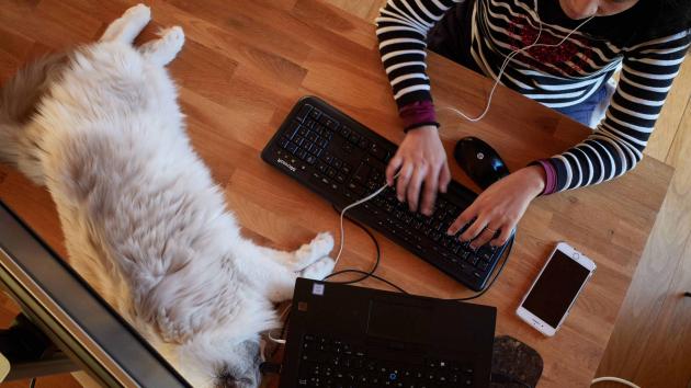 Homeoffice und mobiles Arbeiten: neue Erkenntnisse › absatzwirtschaft