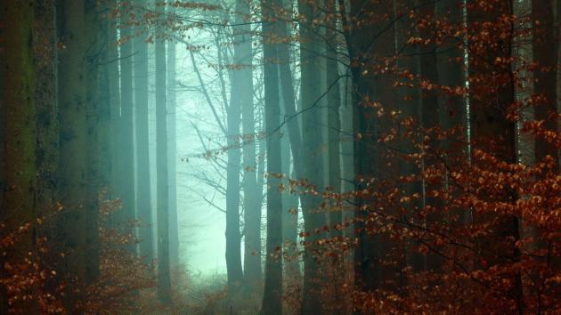 Das Märchen der perfekten Customer Journey › absatzwirtschaft