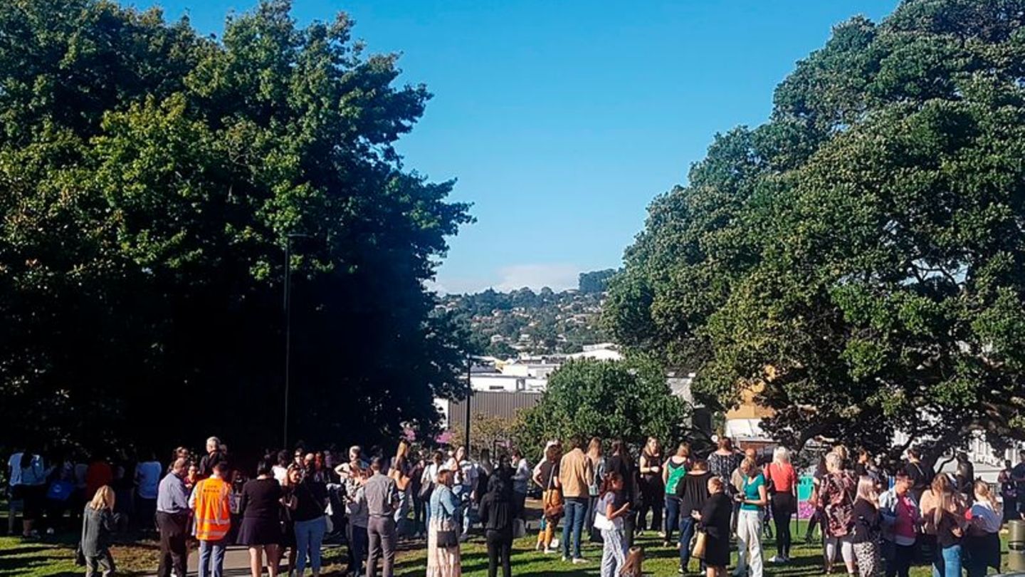 Erdstöße: Heftige Beben erschüttern Neuseeland - Tsunami-Warnung