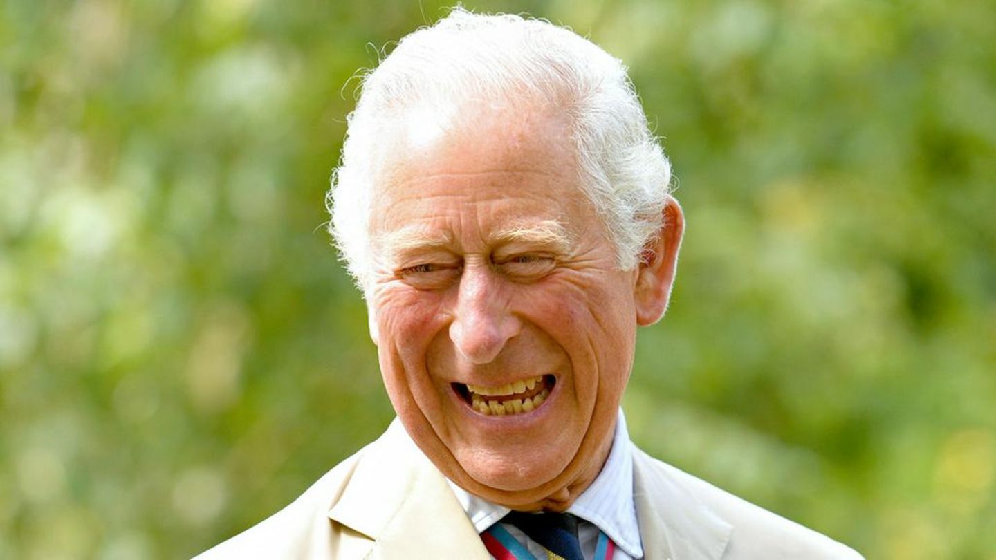 Prinz Charles: Das will er als König ändern