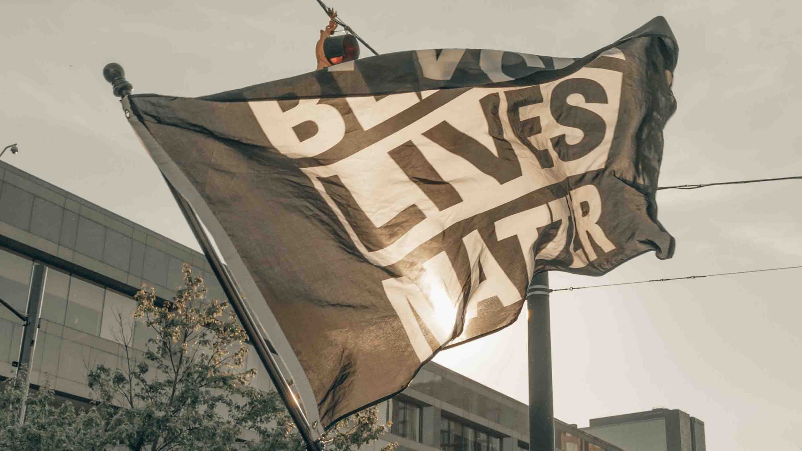 Marken als Wegbereiter des Wandels › absatzwirtschaft