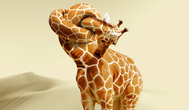 engagement emocional