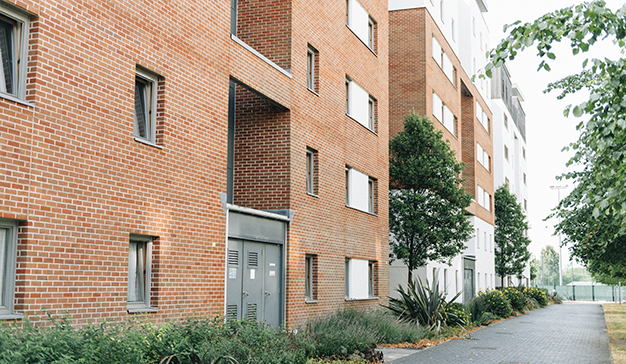 tienes-sal-nextdoor-redes