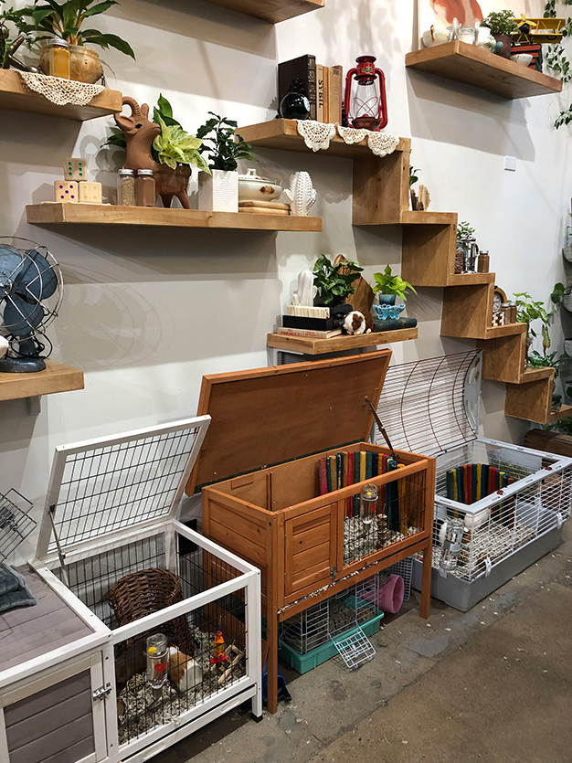 amazon-cafe-fleabag-jaulas