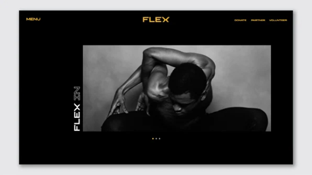 flex-nueva