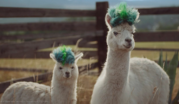 samsung galaxy note 10