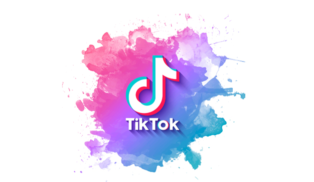 TikTok transparencia eliminación contenidos
