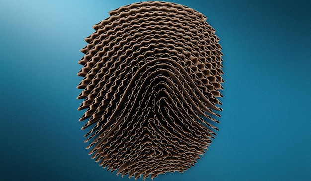 Los clientes de Smurfit Kappa tienen garantizada la sostenibilidad de los embalajes