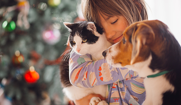 affinity fundacion mascotas campaña de navidad