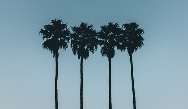 4 estrategias de marketing de influencers para marcas