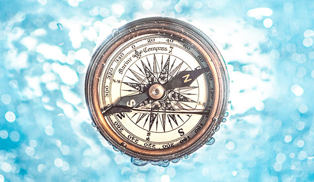 Las compañías orientadas a marca son más rentables