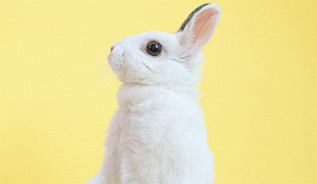 Los oyentes de podcasts, dispuestos a abrir sus orejas a la publicidad