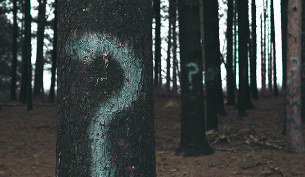 ¿Qué elementos determinan la calidad del contenido para el consumidor?