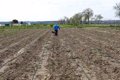 Unos 680.000 agricultores y ganaderos podrán solicitar desde el 1 de febrero las ayudas directas de la PAC