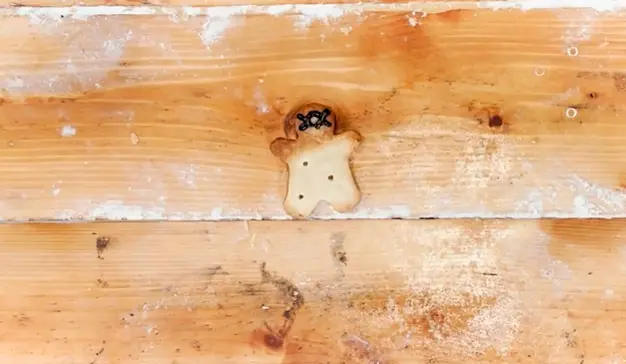 #onecookieperkid, iniciativa contra la violencia armada