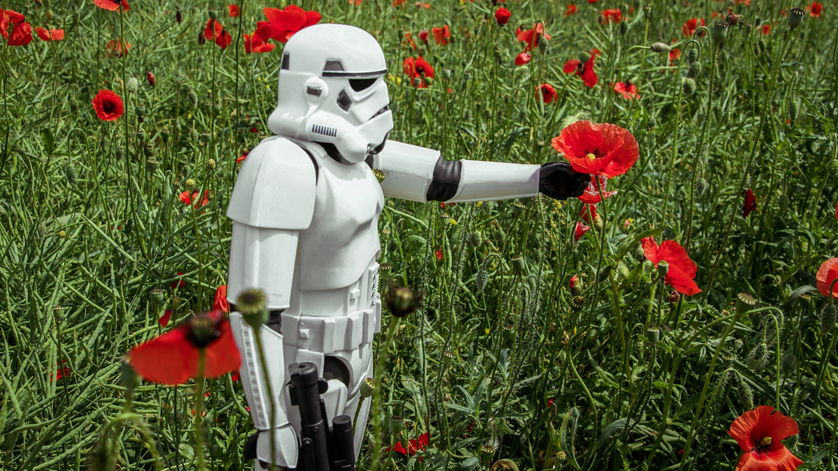 3 fertilizantes que hacen florecer la motivación en el trabajo