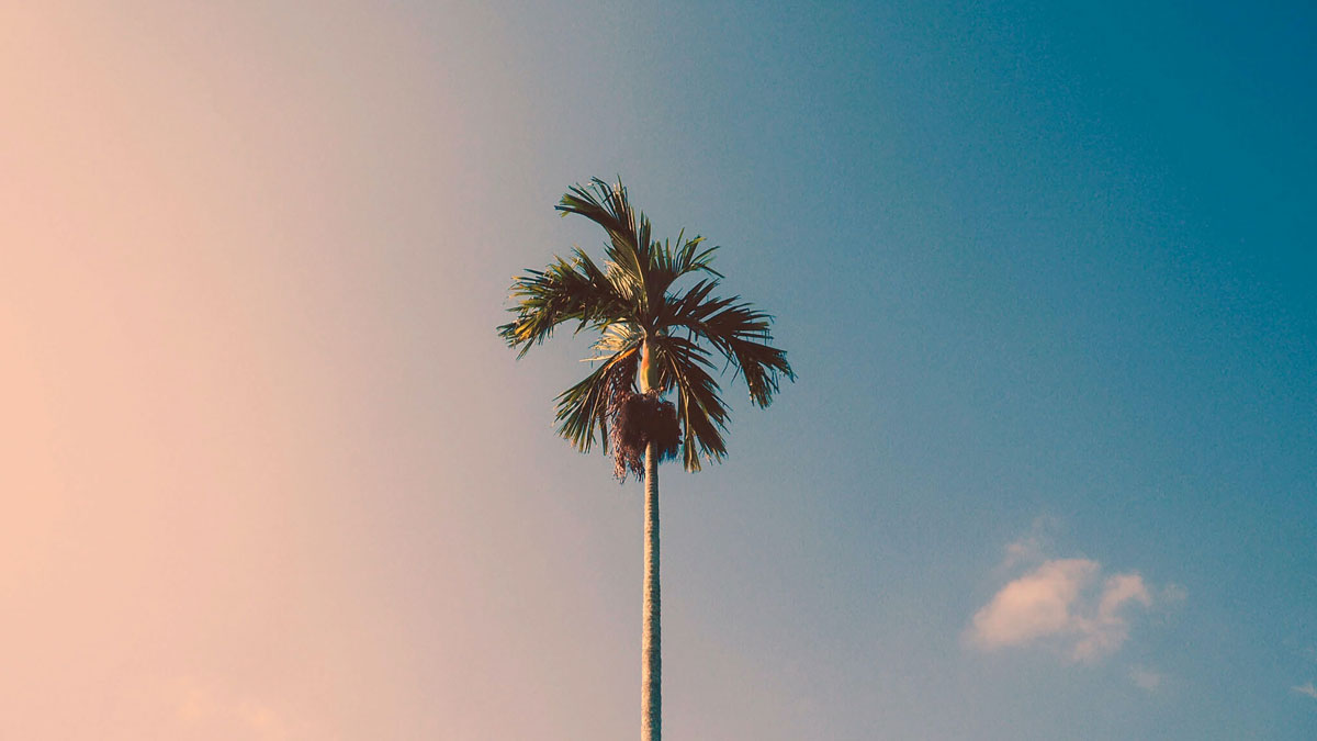 La apuesta del turismo por los influencers | Marketing Directo