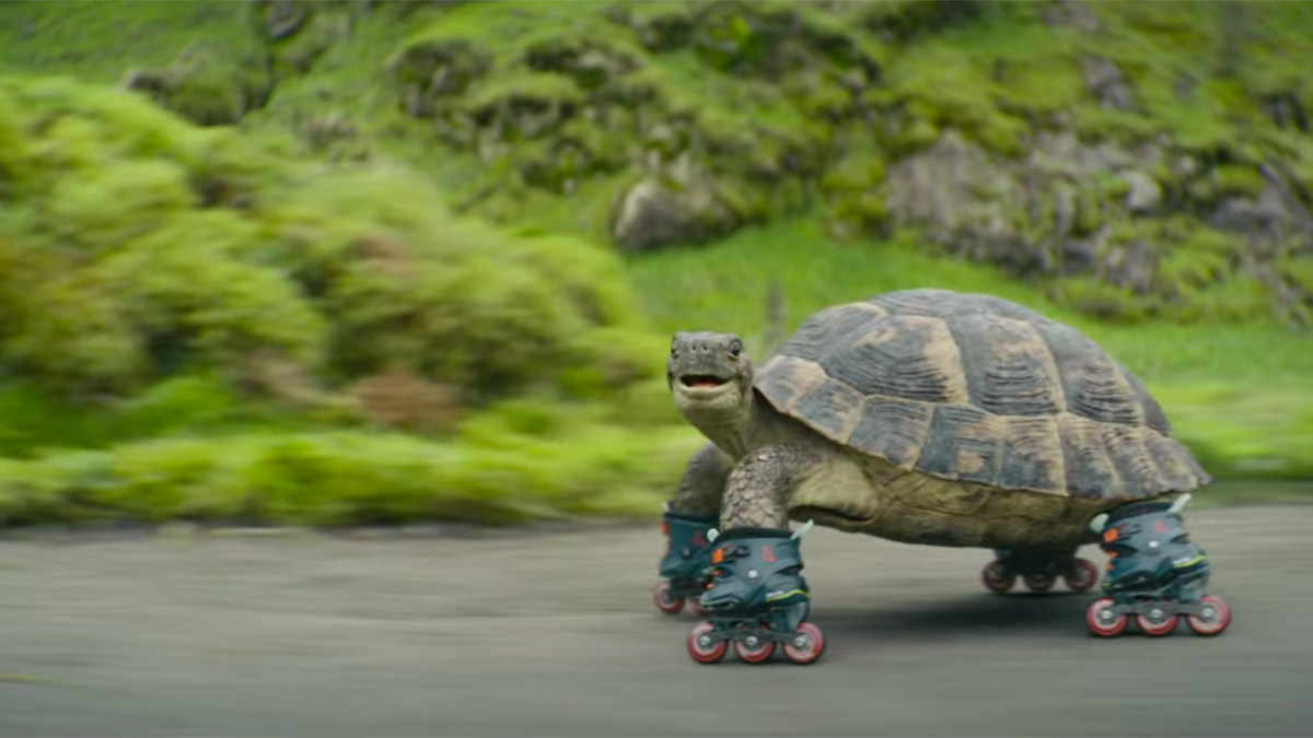La tortuga en patines de este spot te convencerá de viajar más en tren
