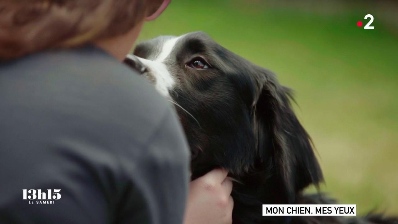 VIDEO. Comment le chien guide Nitro a métamorphosé la vie de Romane, adolescente malvoyante de naissance