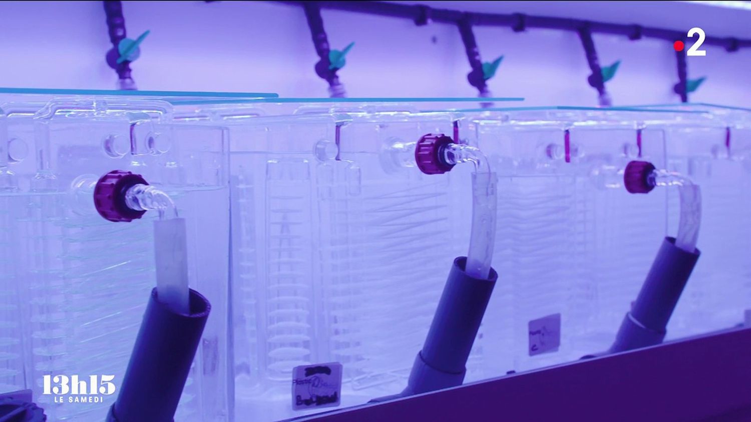 de nouveaux plastiques biodégradables en mer testés dans le laboratoire de chercheurs français