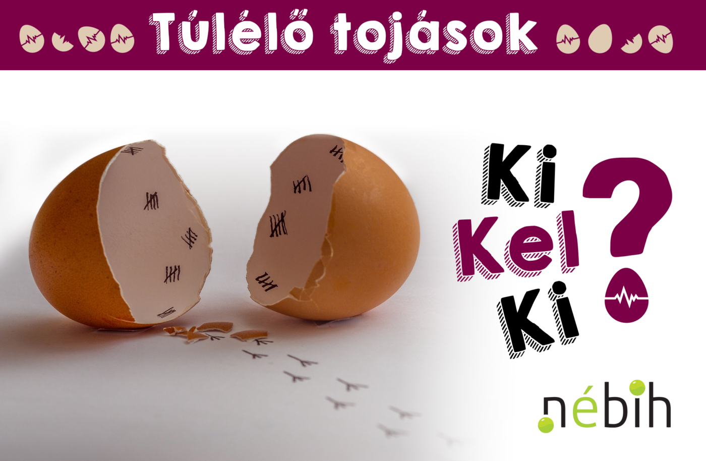 Már tízezrek látták a Nébih csibés „túlélőshowját”