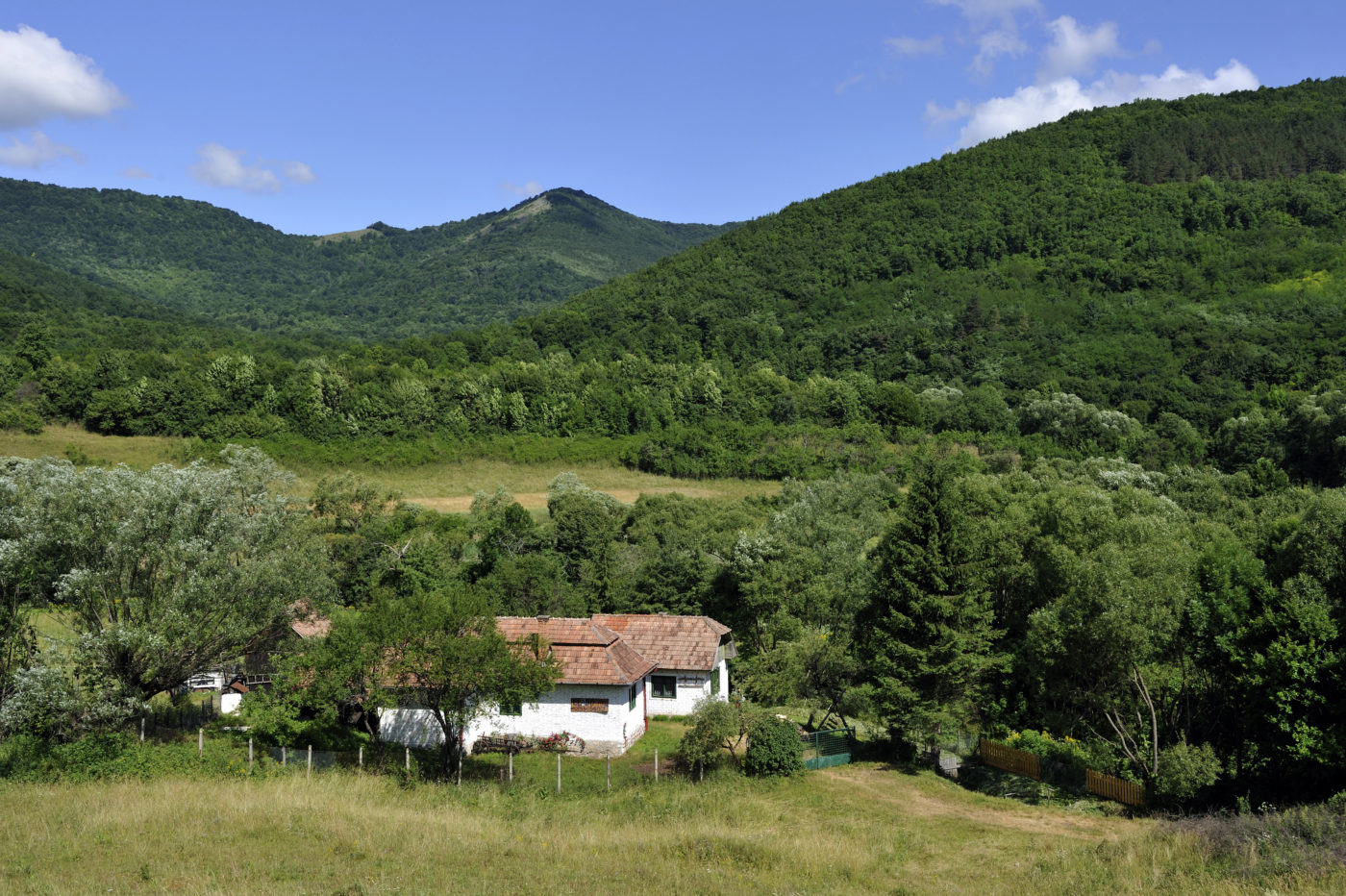Higannyal mérgezhettek meg egy volt román minisztert