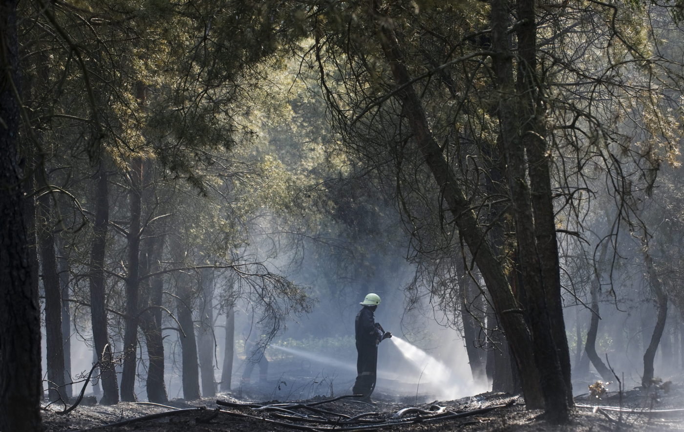 Idén már több ezer tűzhöz hívták ki a tűzoltókat