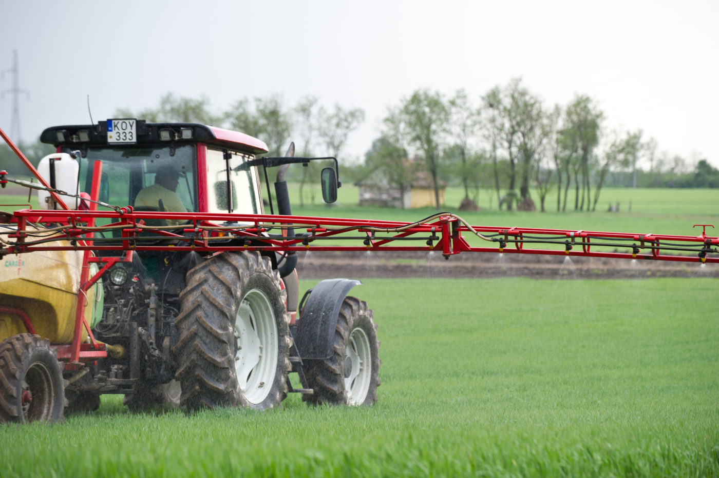 Kisebb területen vetettek a tavasszal