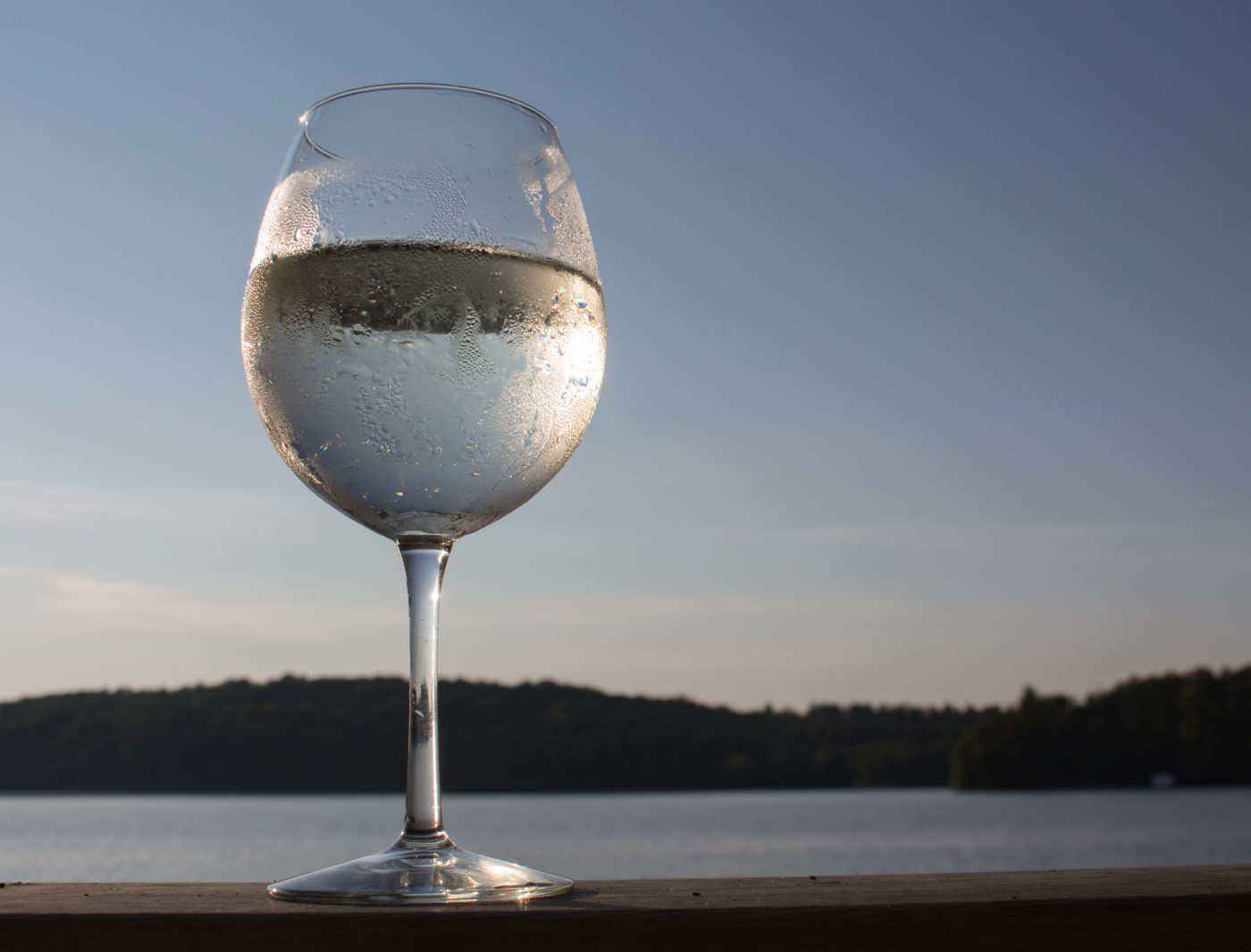 Maflás, háziúr és a bakteranyós | Világgazdaság