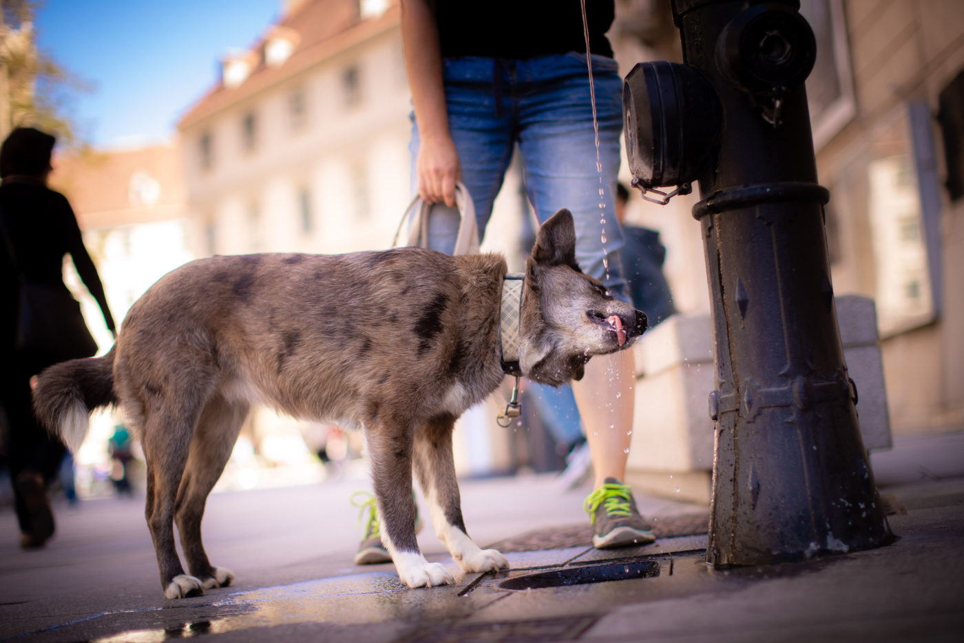 Vízhiány fenyeget Lengyelországban | Világgazdaság