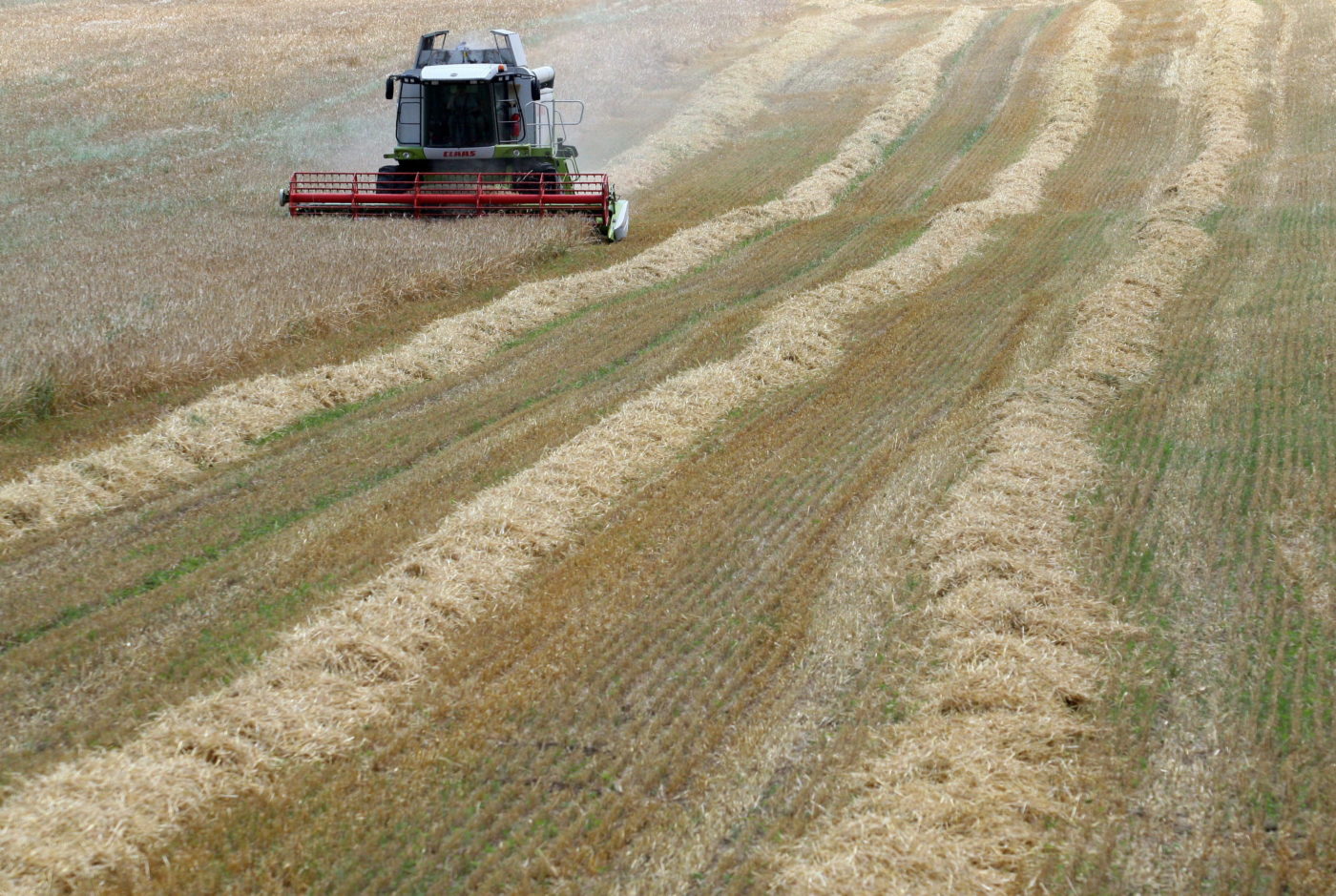 A NAK szerint kritikus a Mercosur-egyezmény