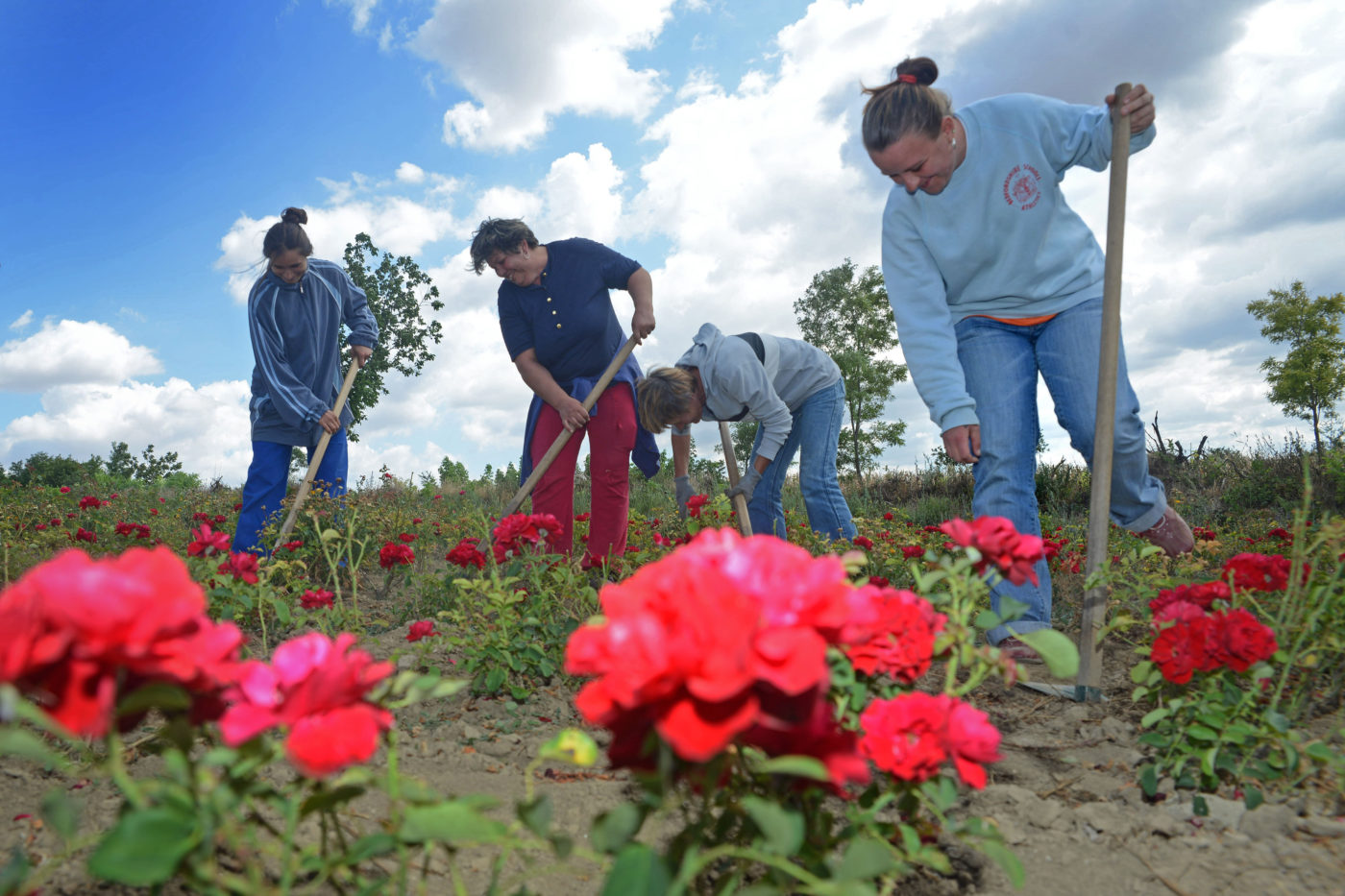 Kétmilliárdot fordítanak a zártkertek megújítására
