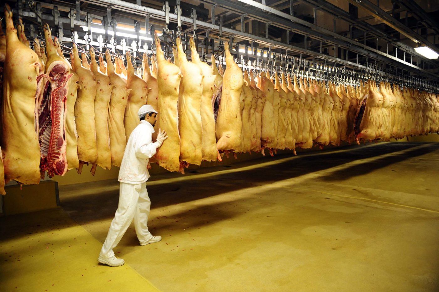 Magyar disznóhúsra vágynak a japánok