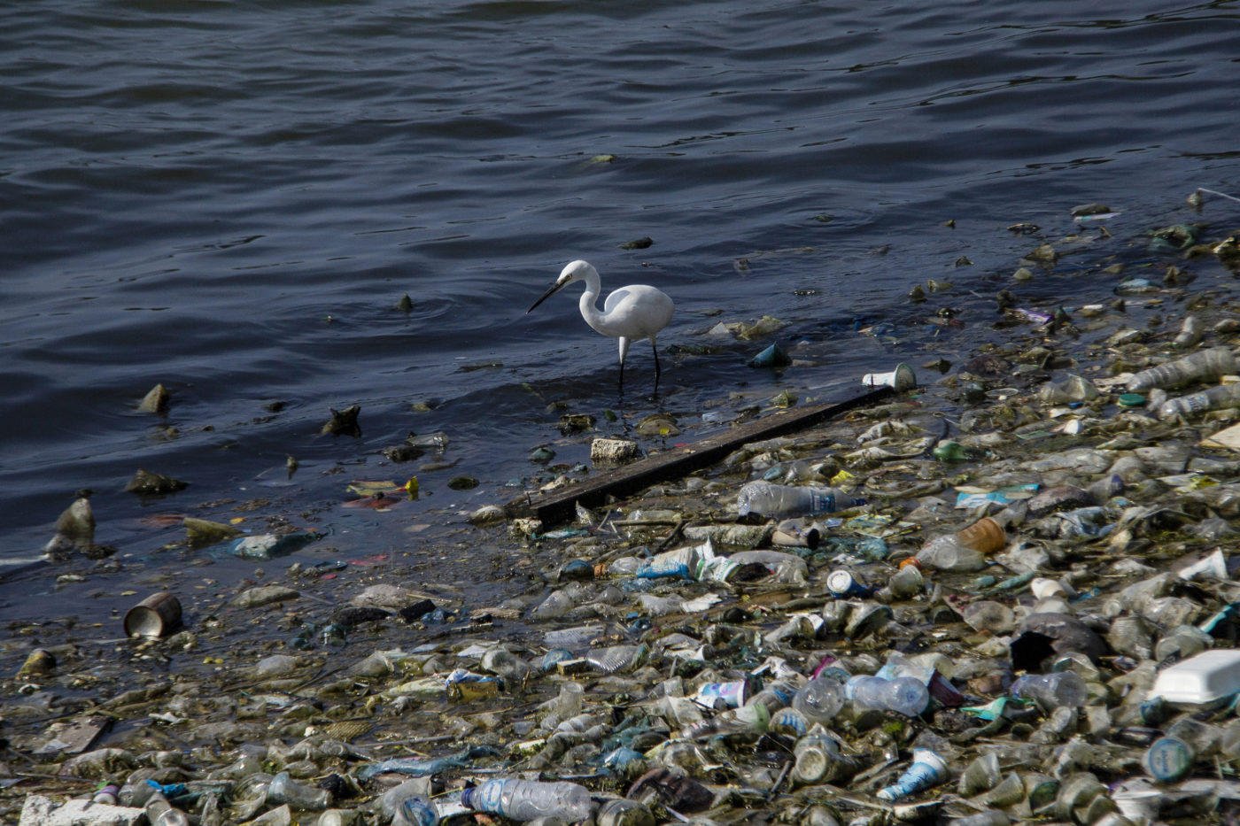 Több tonna műanyagot emeltek ki a Csendes-óceánból