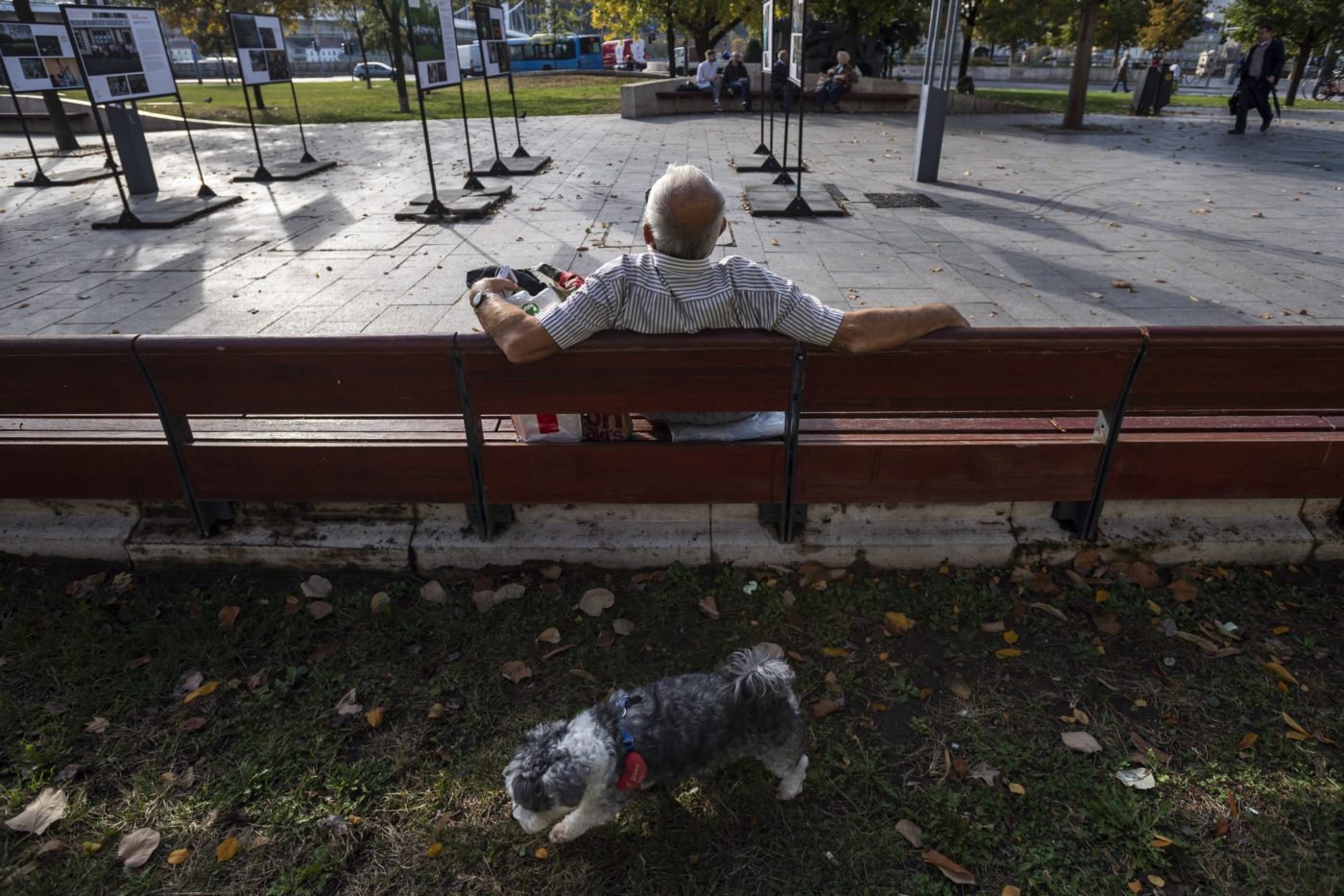 Sok napsütés várható a jövő héten