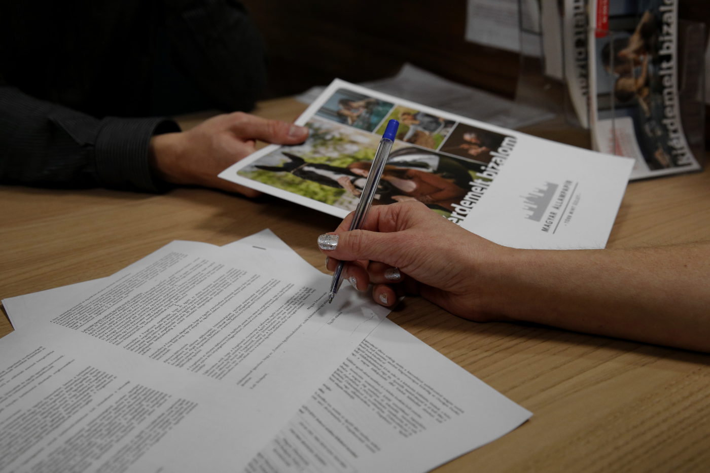 Szívesen fektetnek be hazájukba a magyarok