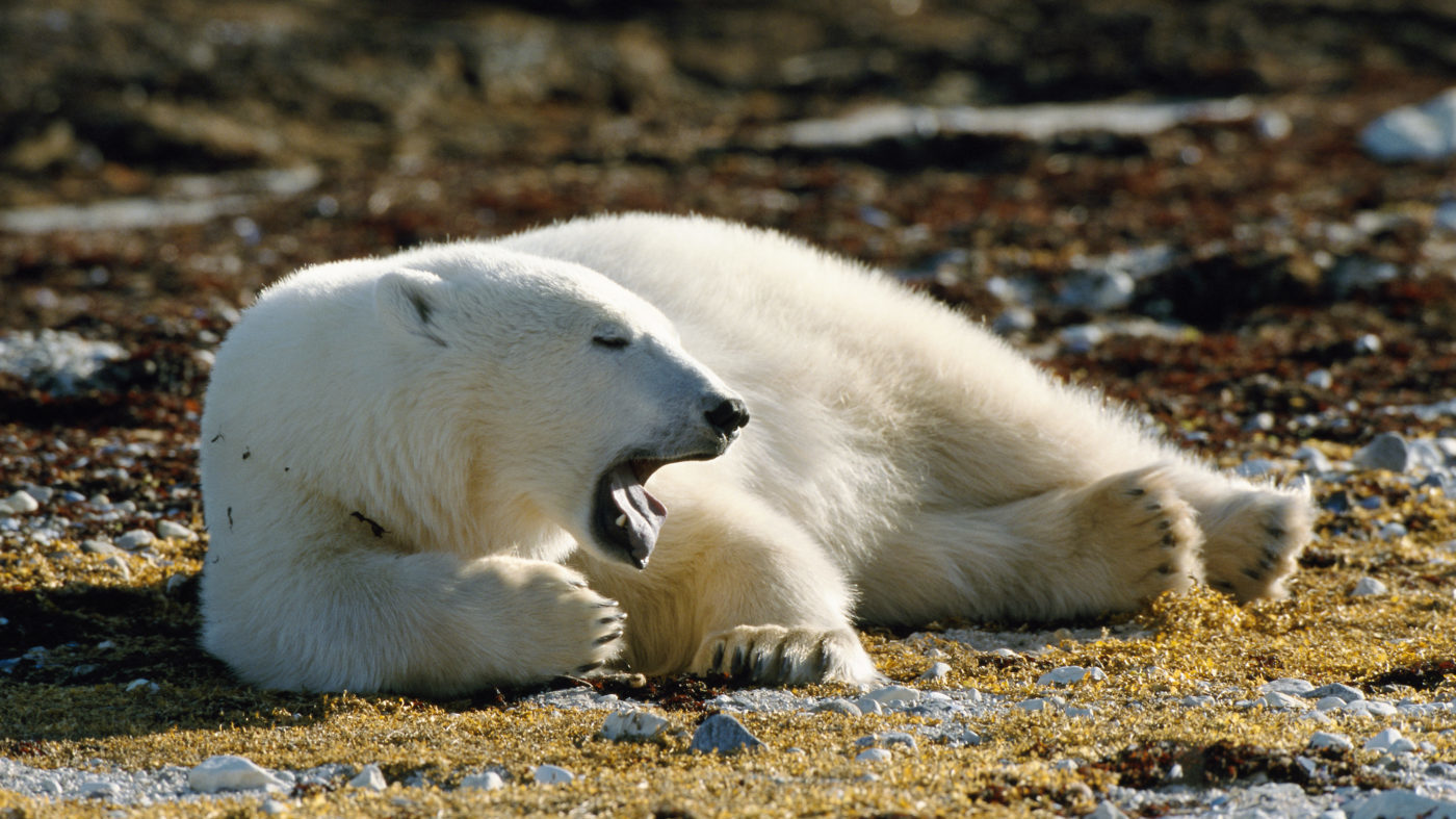 Az elmúlt 140 év második legmelegebb nyara volt az idei