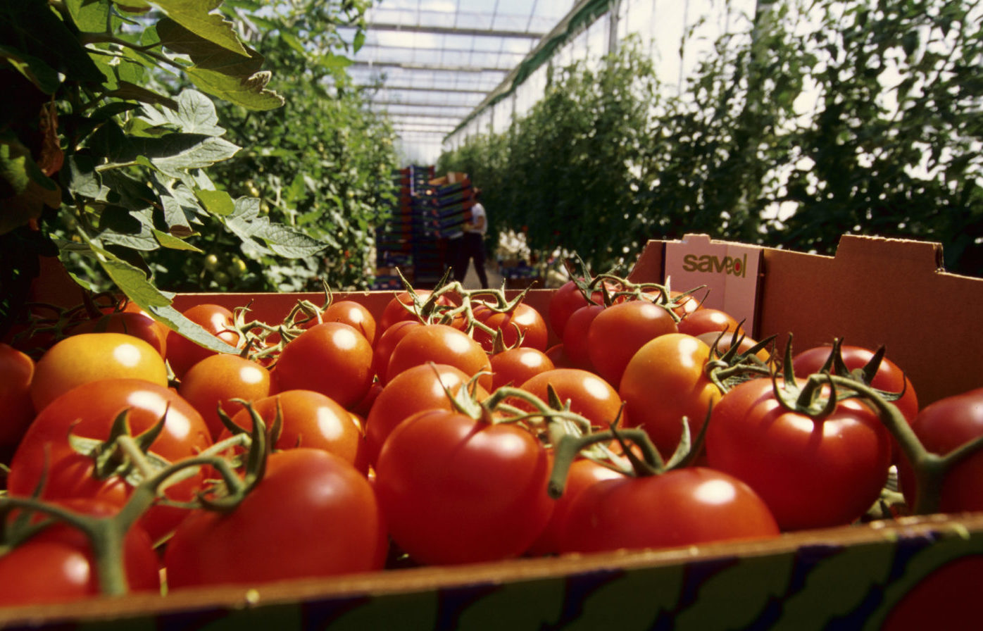 Idén legyőzhetetlen ellenfél volt az időjárás