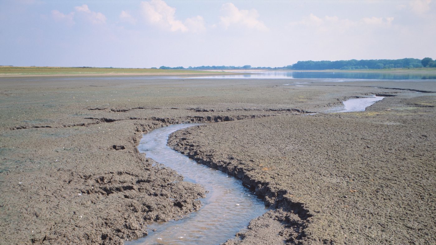Klímaválság: azonnali változásra van szükség