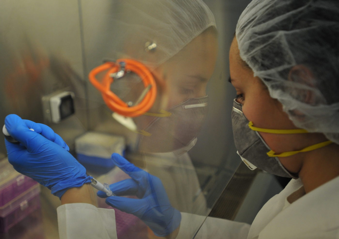 Tömeges szalmonellafertőzés történt Debrecenben | Világgazdaság