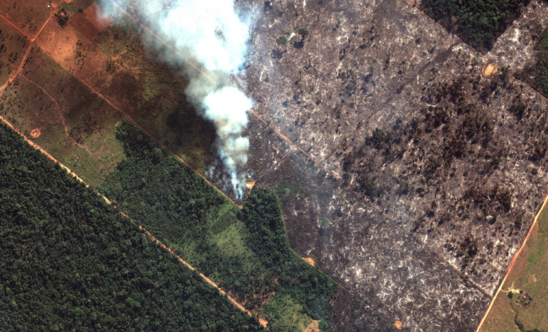 Amazzonia, Macron: “La nostra casa sta bruciando”