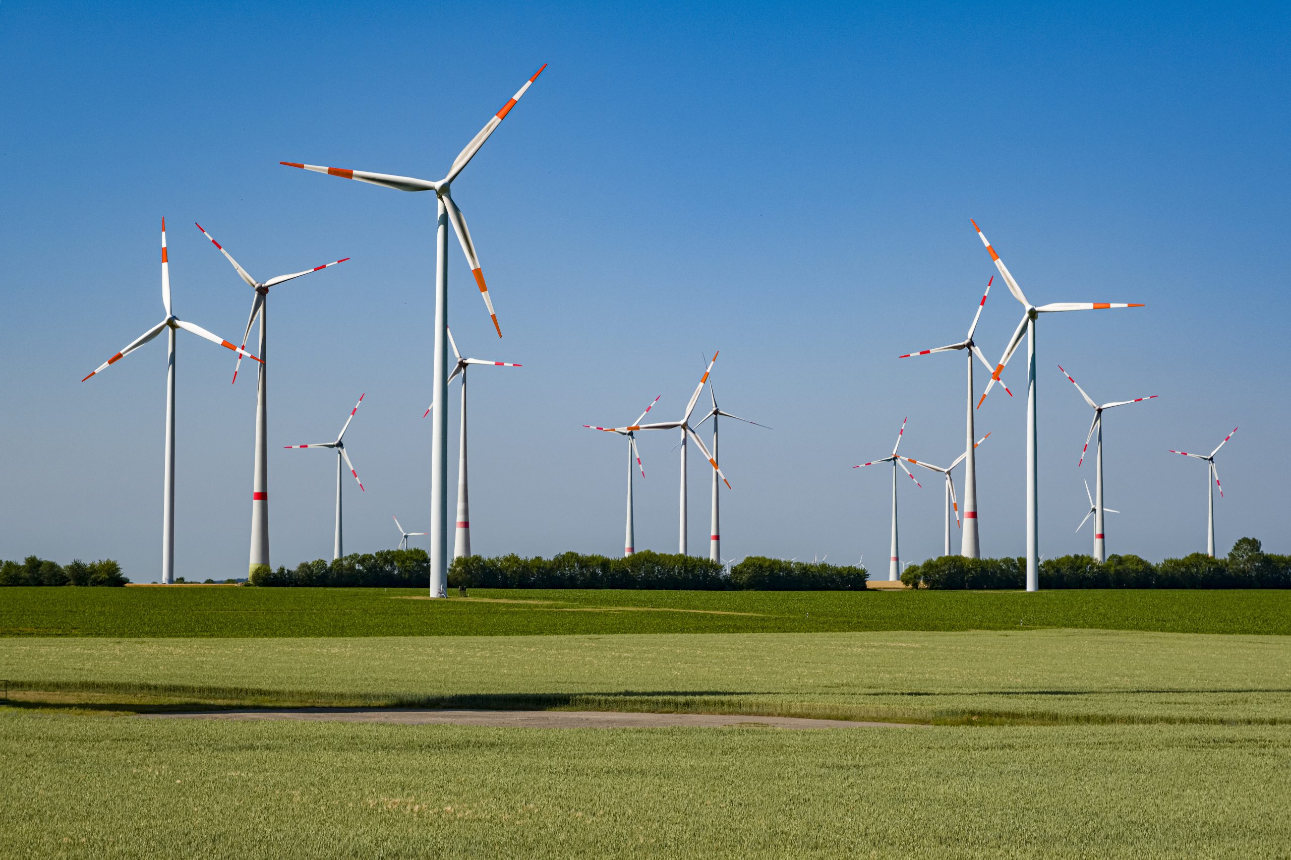 Esg: come capire se un fondo è veramente sostenibile