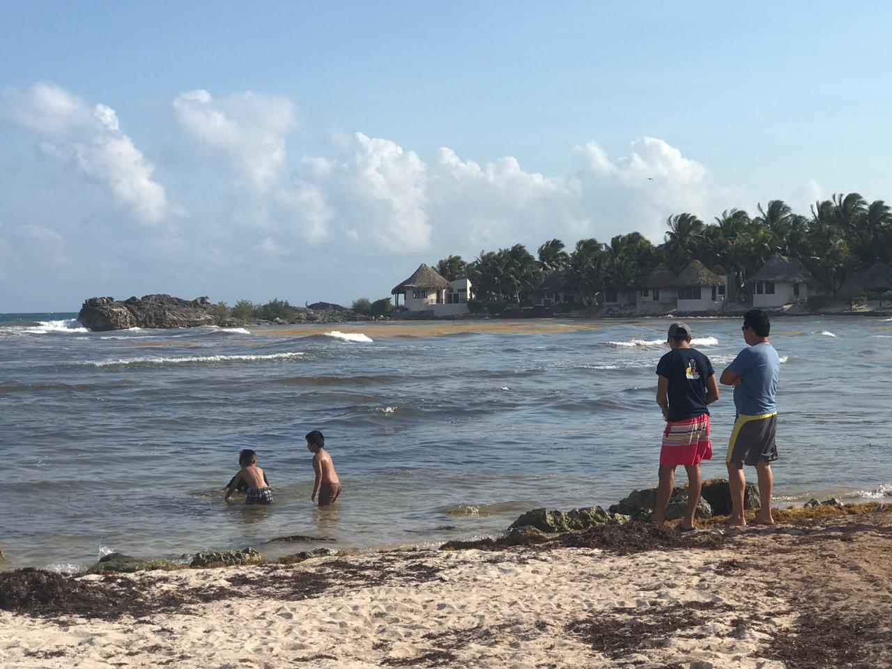 El sargazo ocupó las costas y una parte al interior del agua en las playas de Tulum.