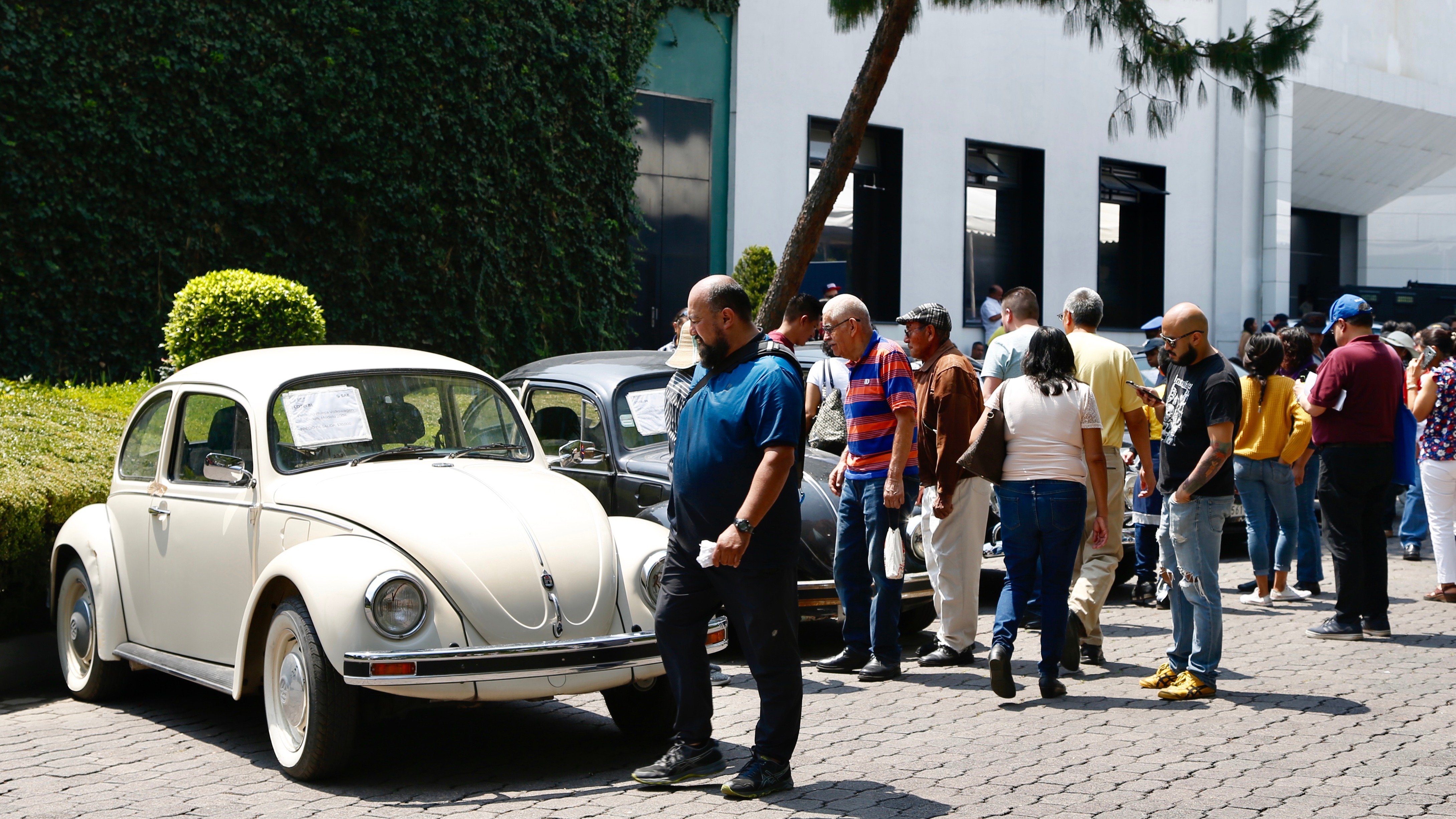 Volkswagen 1990 se expone en Los Pinos.