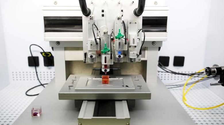 Impresora de corazón 3D.