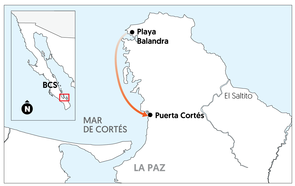 Ella nadó contra corriente para llegar a su nueva travesía ‘Una brazada, una visión a la vida’